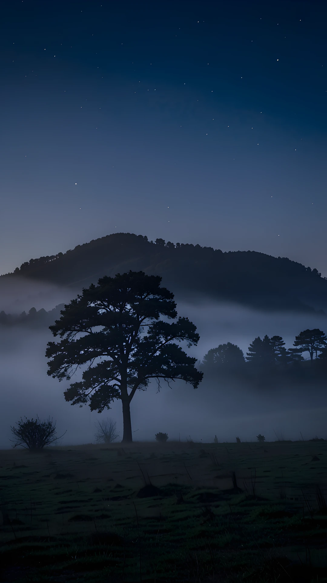 Mountain Mist