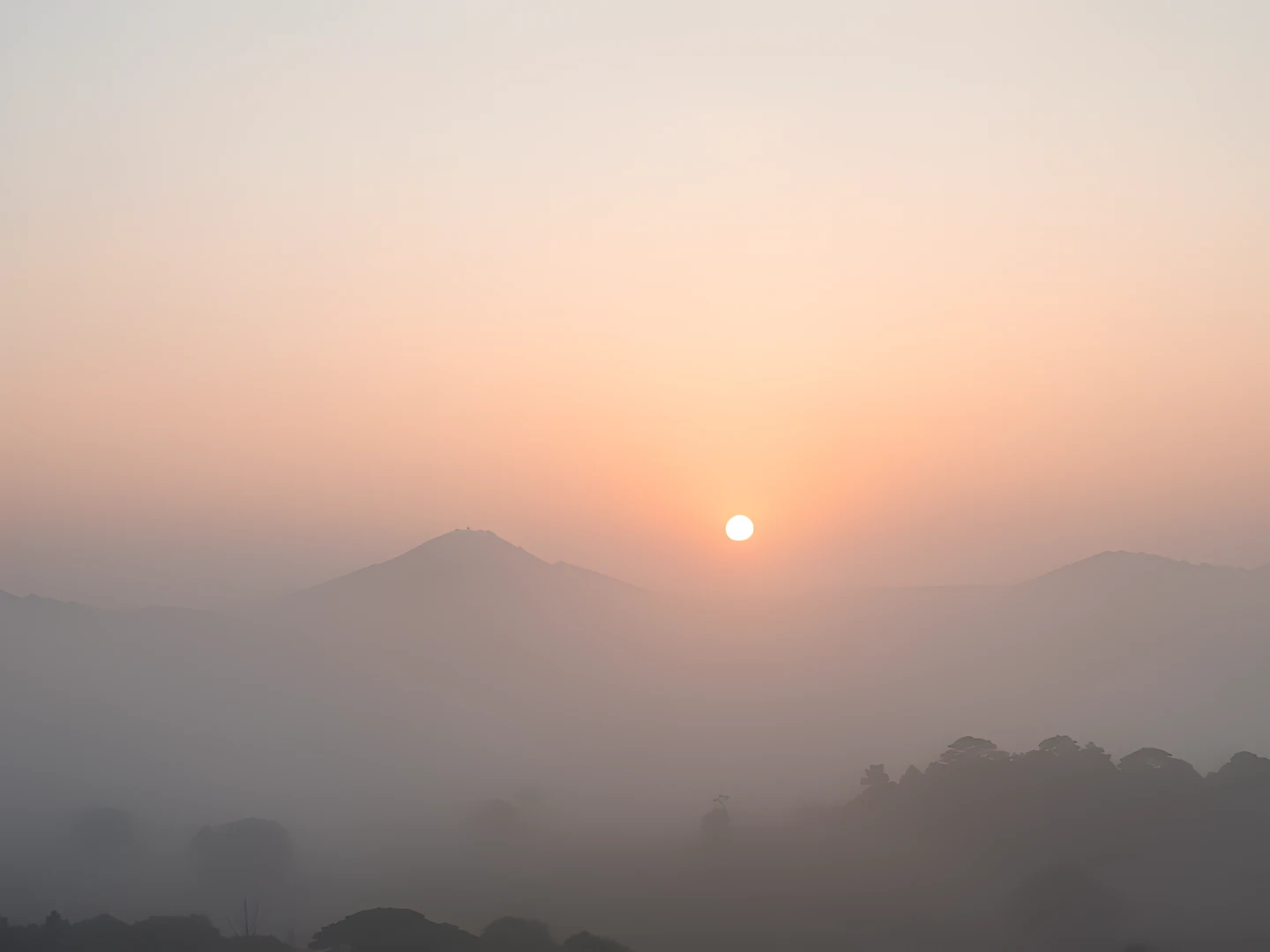 Morning Fog Peaks