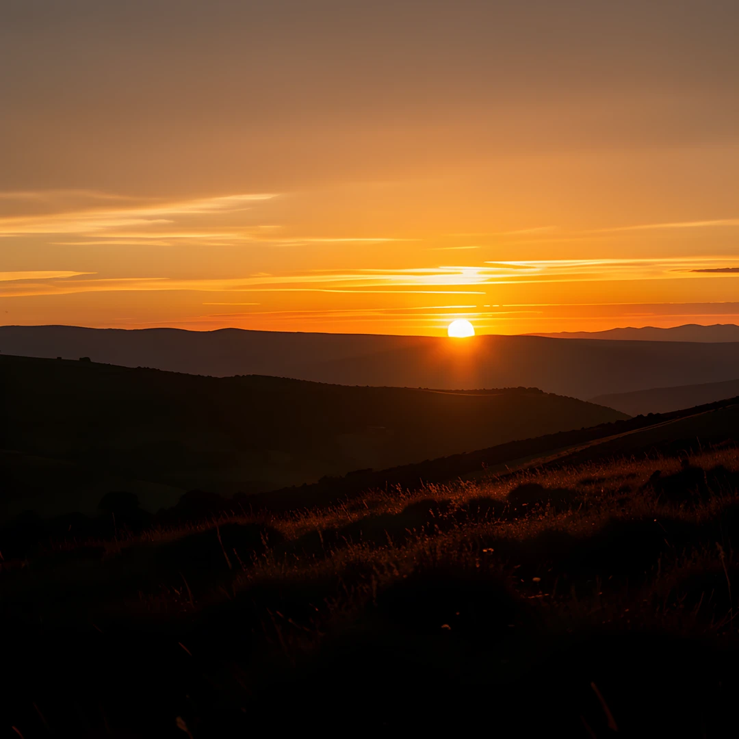 Golden Morning Light
