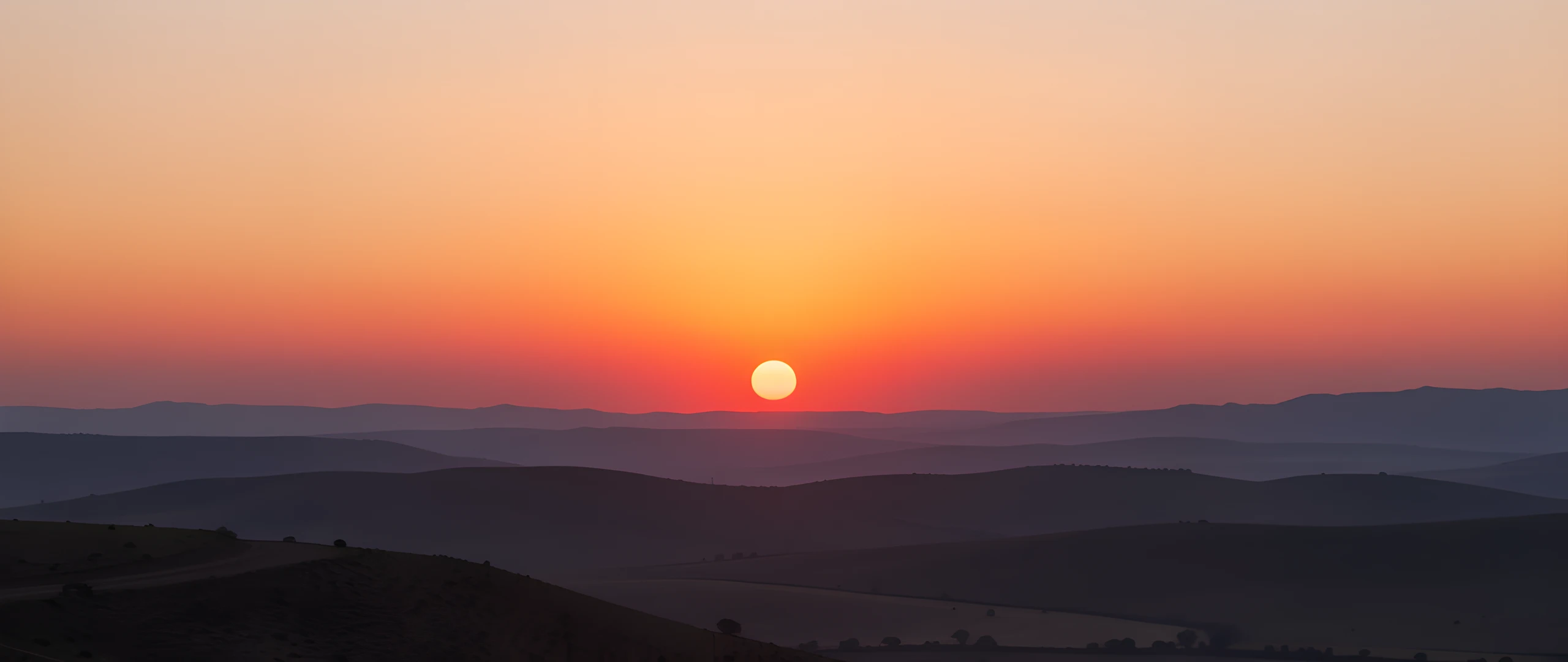 Soft Morning Glow