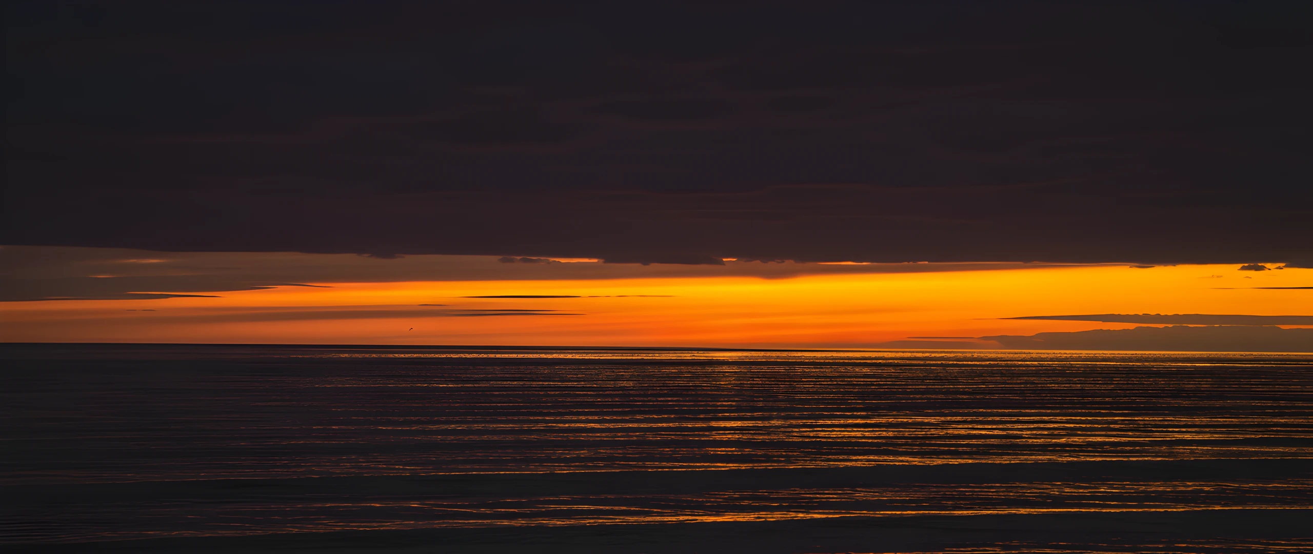 Desert Sunset