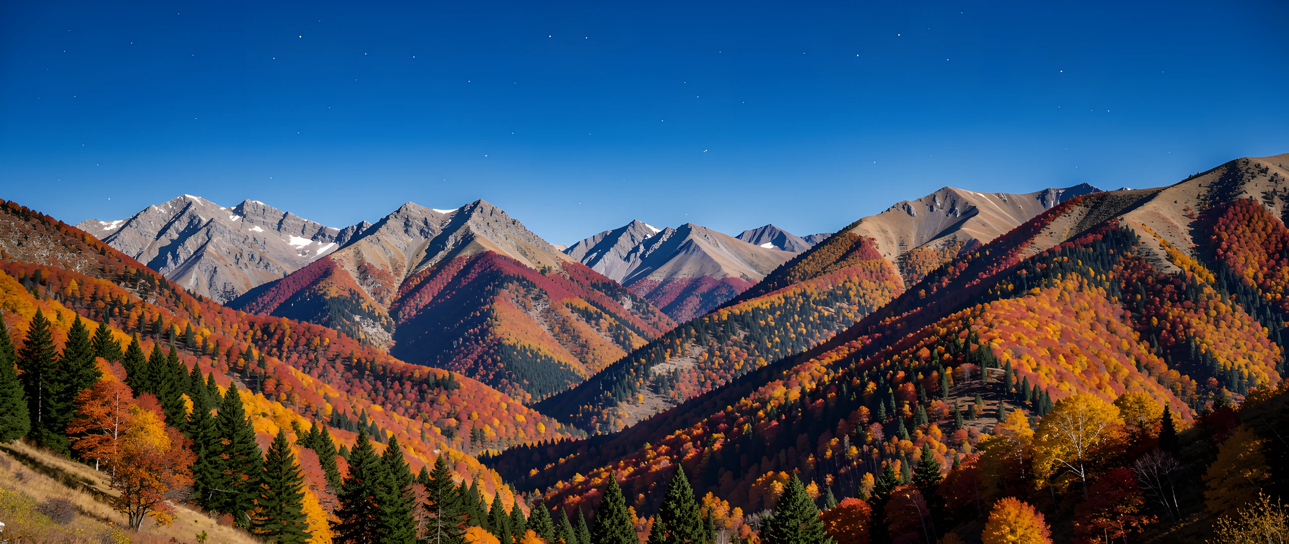 Rustic Woods Landscape