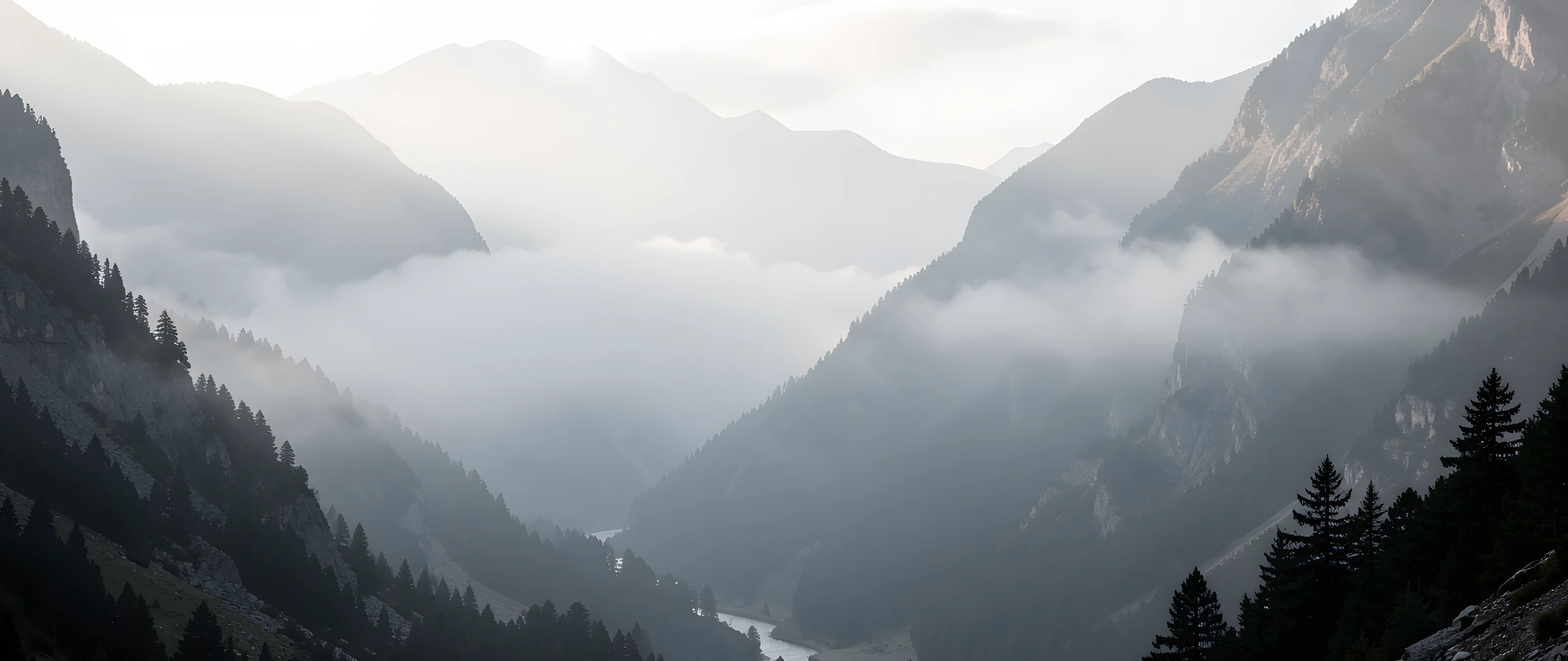 Misty Mountain Valley