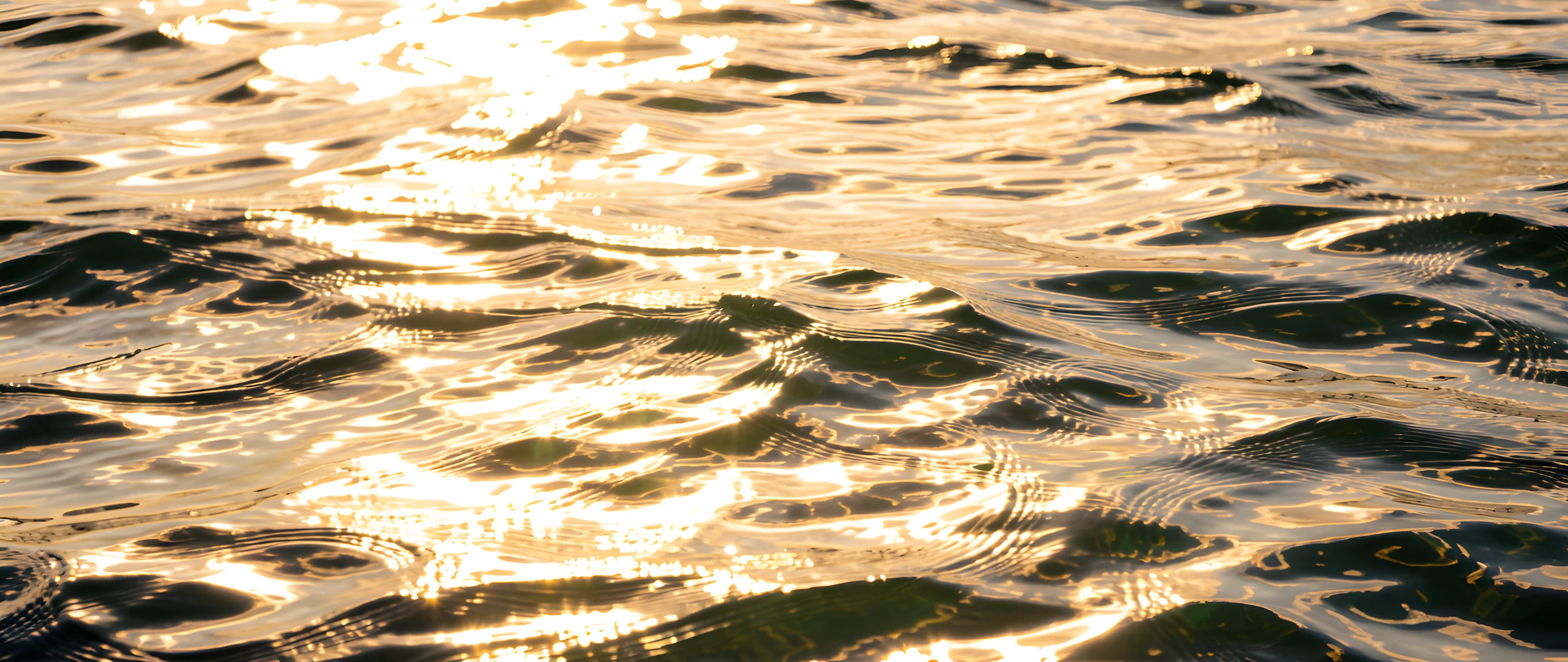 Ocean Morning Calm