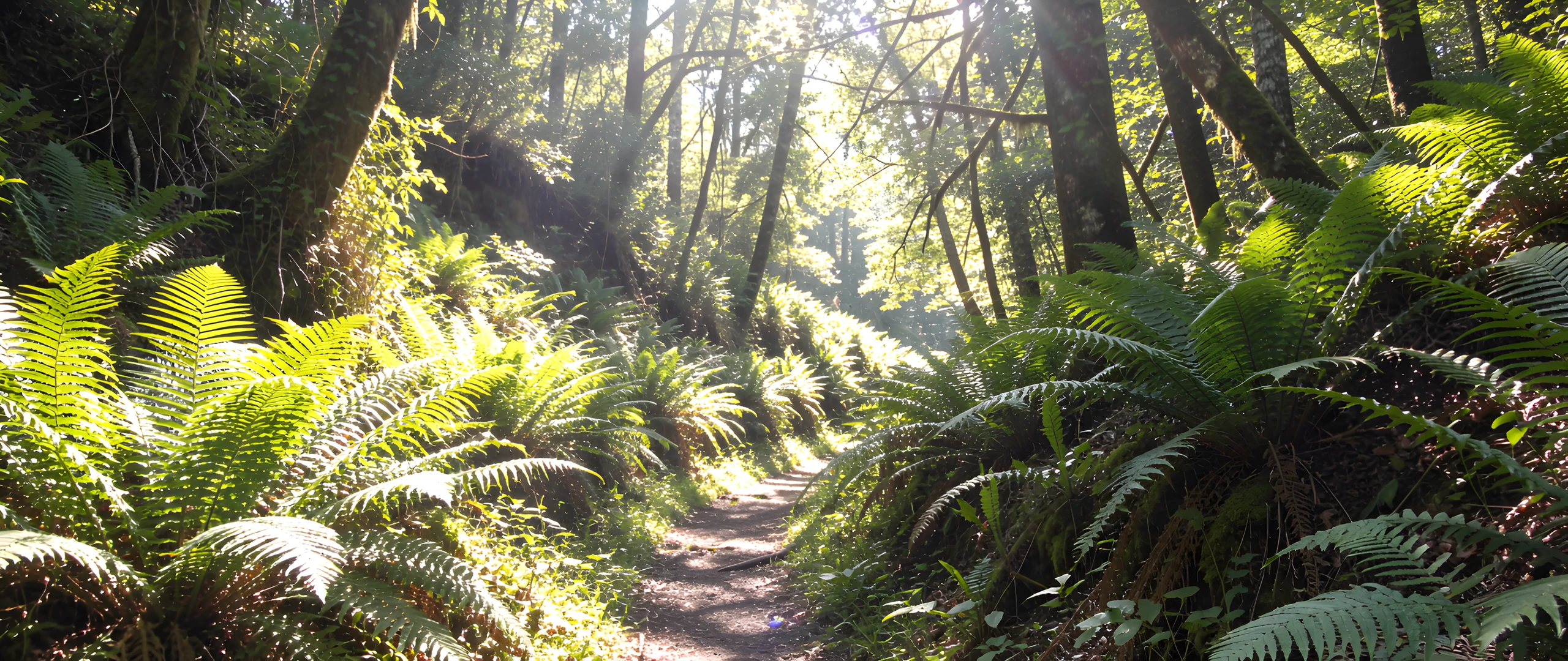 Green Fern Grotto