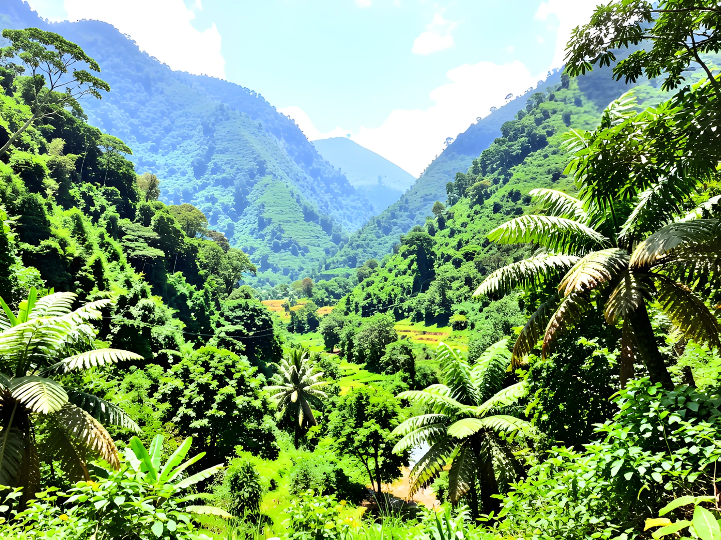 Tropical Oasis