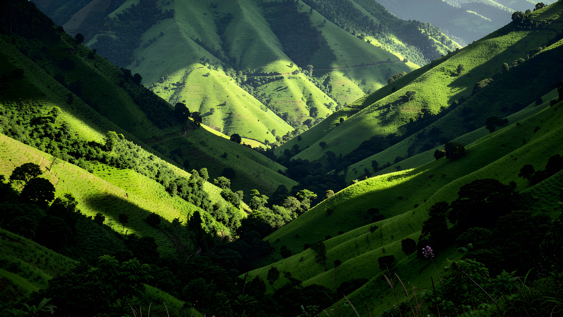 River Valley