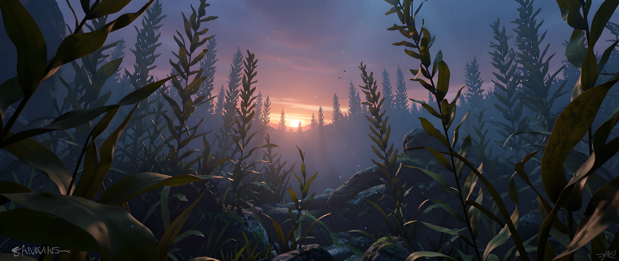 Ocean Kelp Sunset
