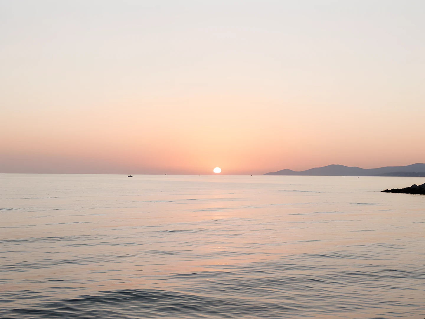 Soft Morning Glow