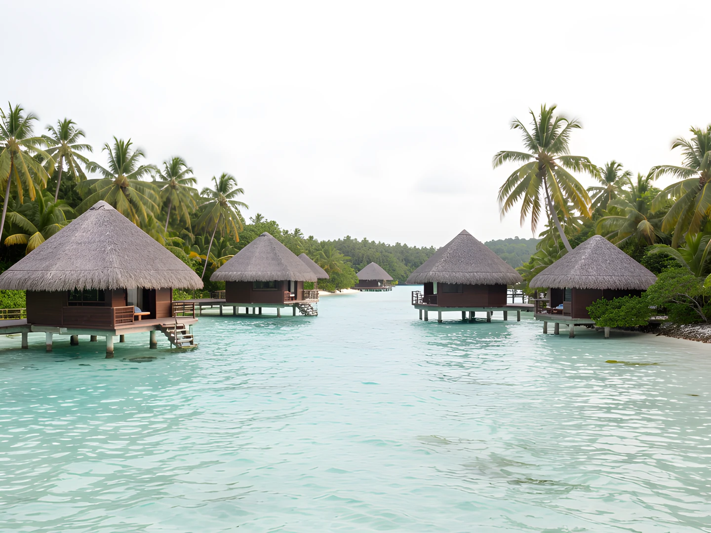 Tropical Island Bungalow