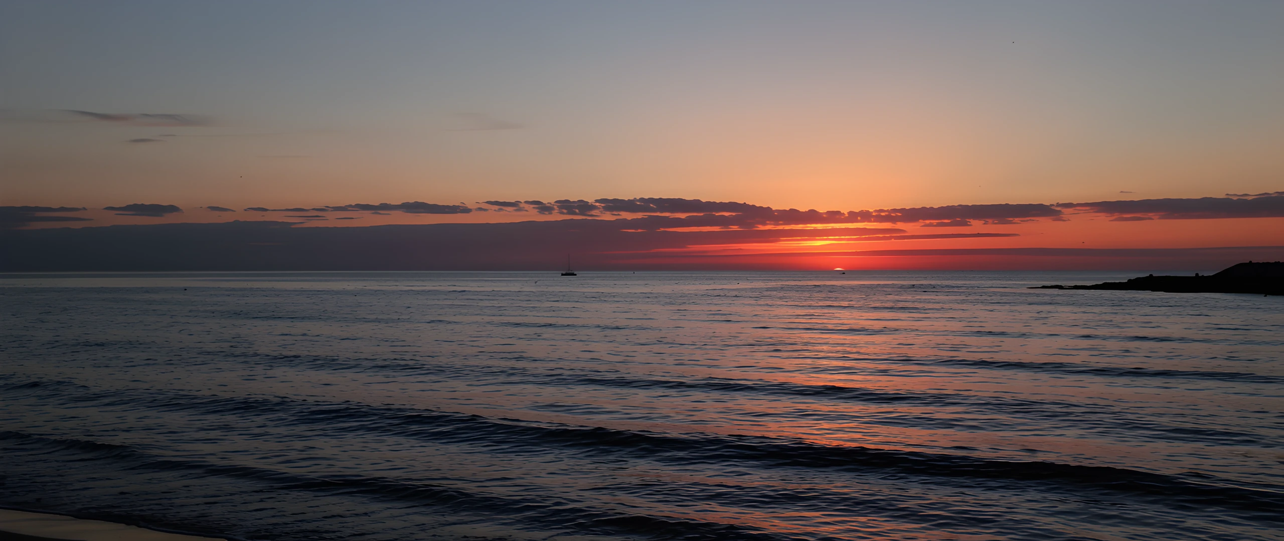 Tropical Morning Glow