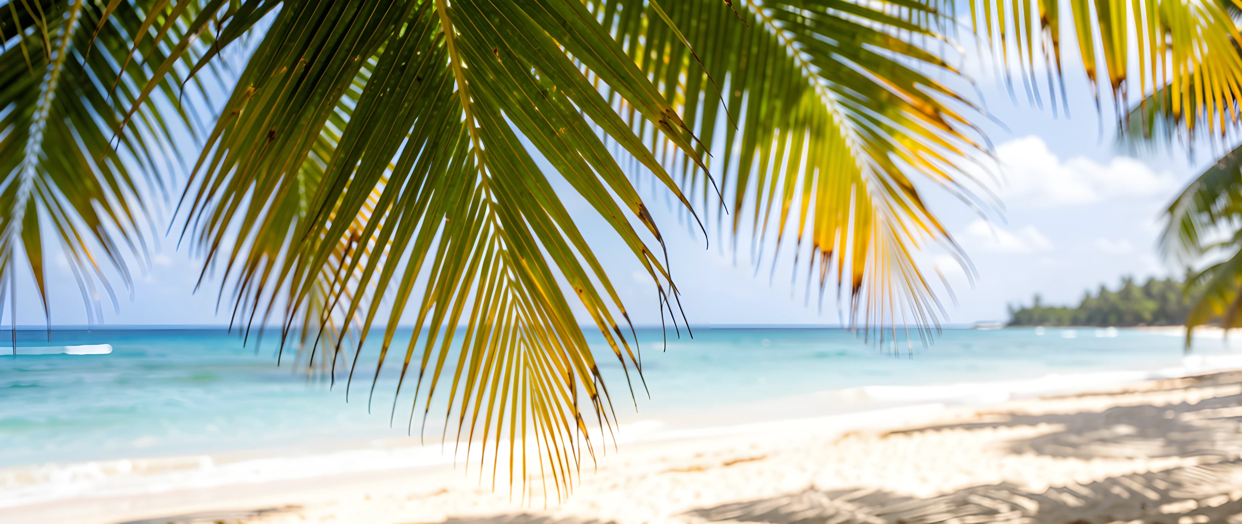 Tropical Palm Oasis