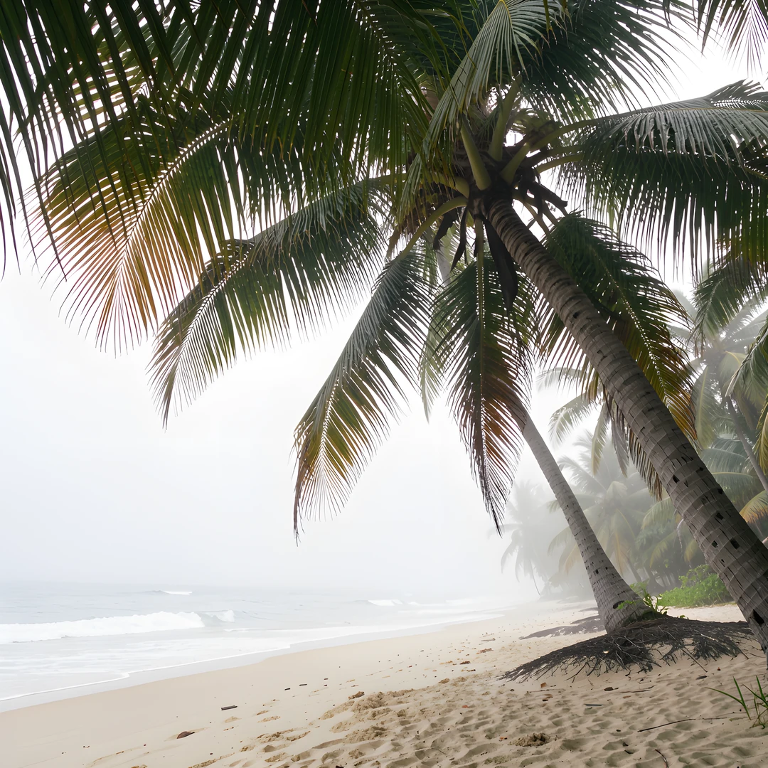 Tropical Palm Oasis