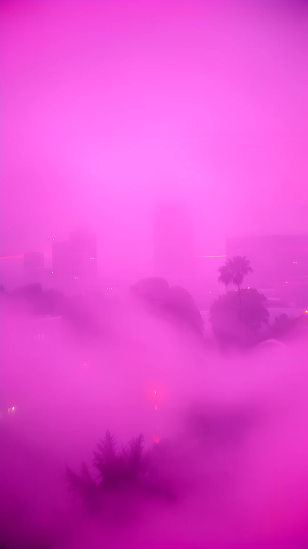 Neon Cityscape