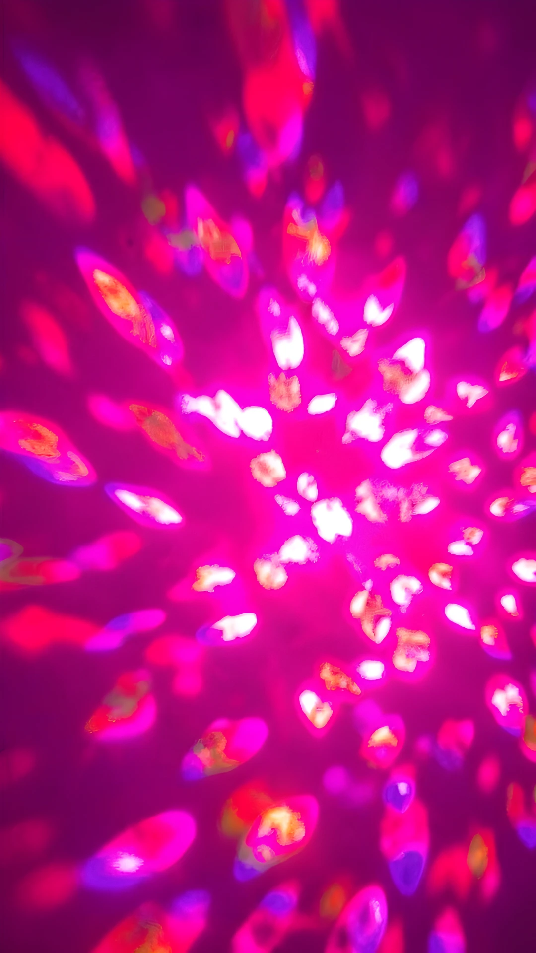 Neon Dreamscapes