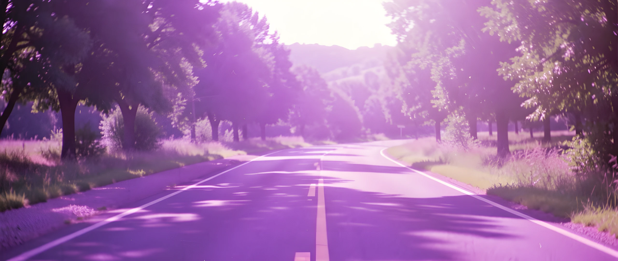Purple Sunset Highway