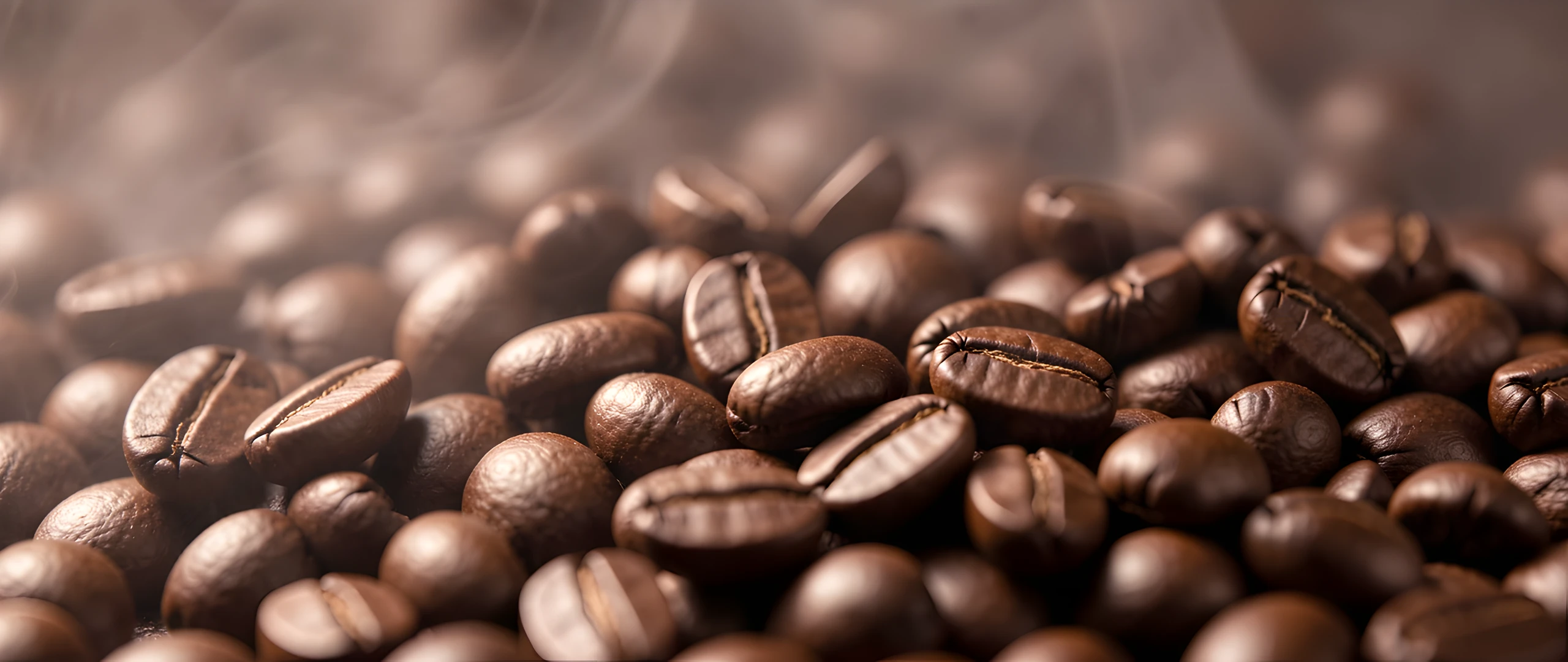 Coffee Bean Macro
