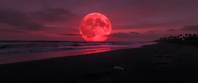 Cosmic Beach Sunset