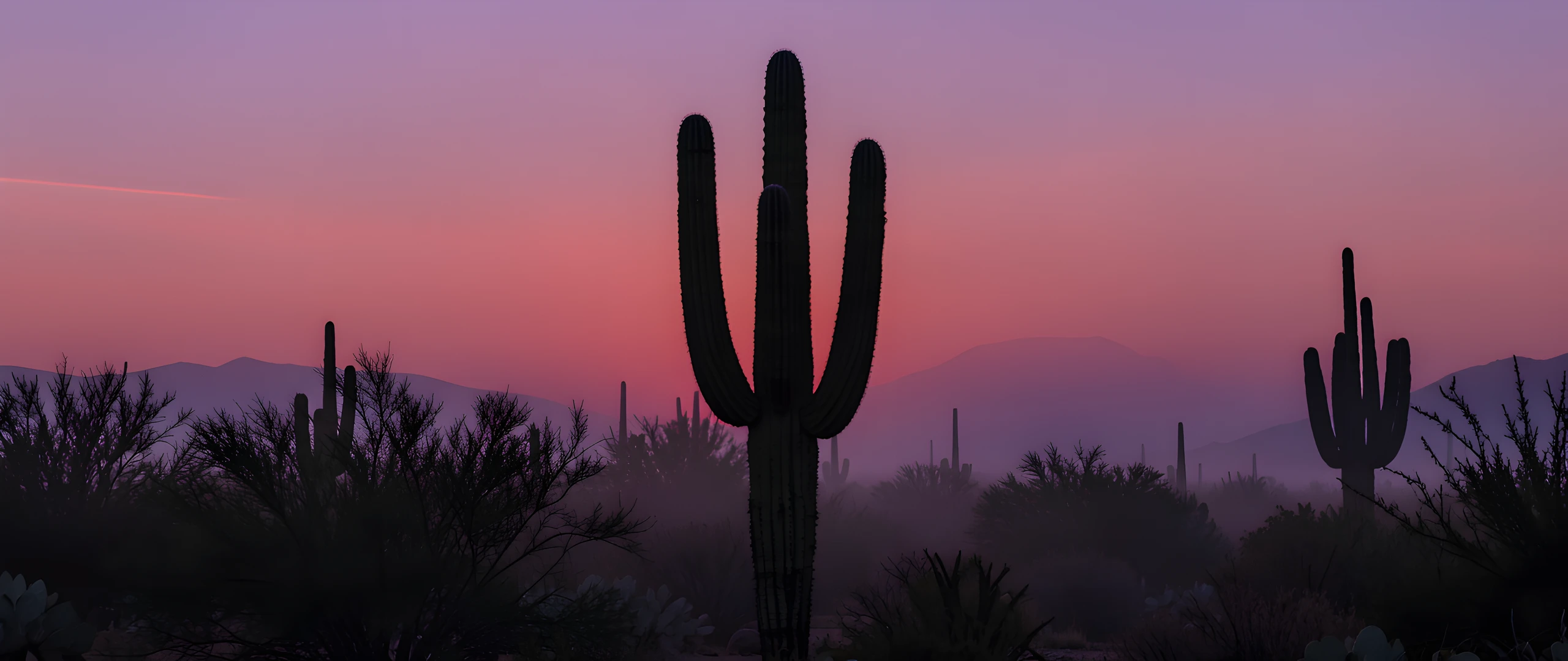 Desert Bloom Foggy