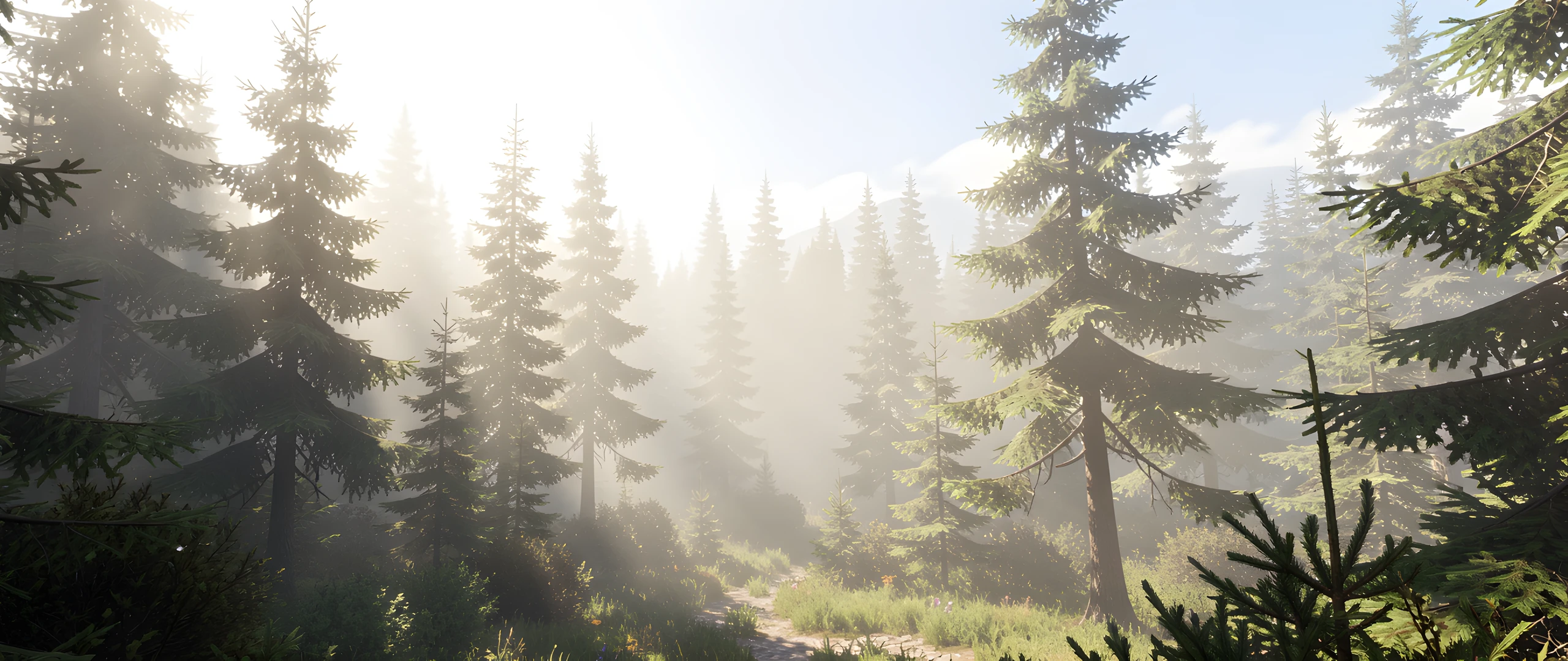 Misty Forest Peaks