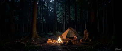 Moonlit Forest Scene