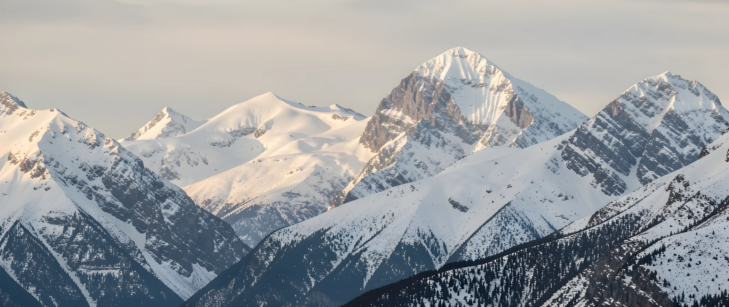 Frosty Morning Landscape