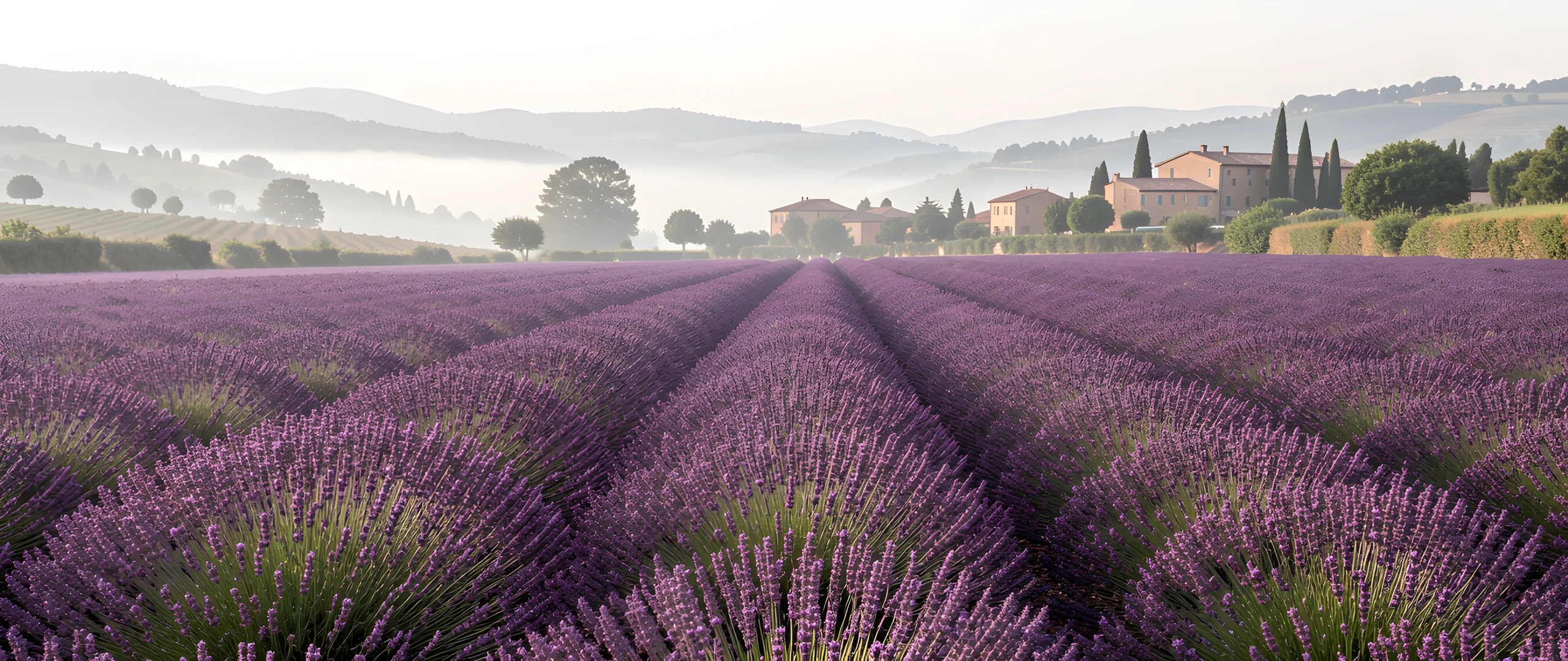 French Countryside