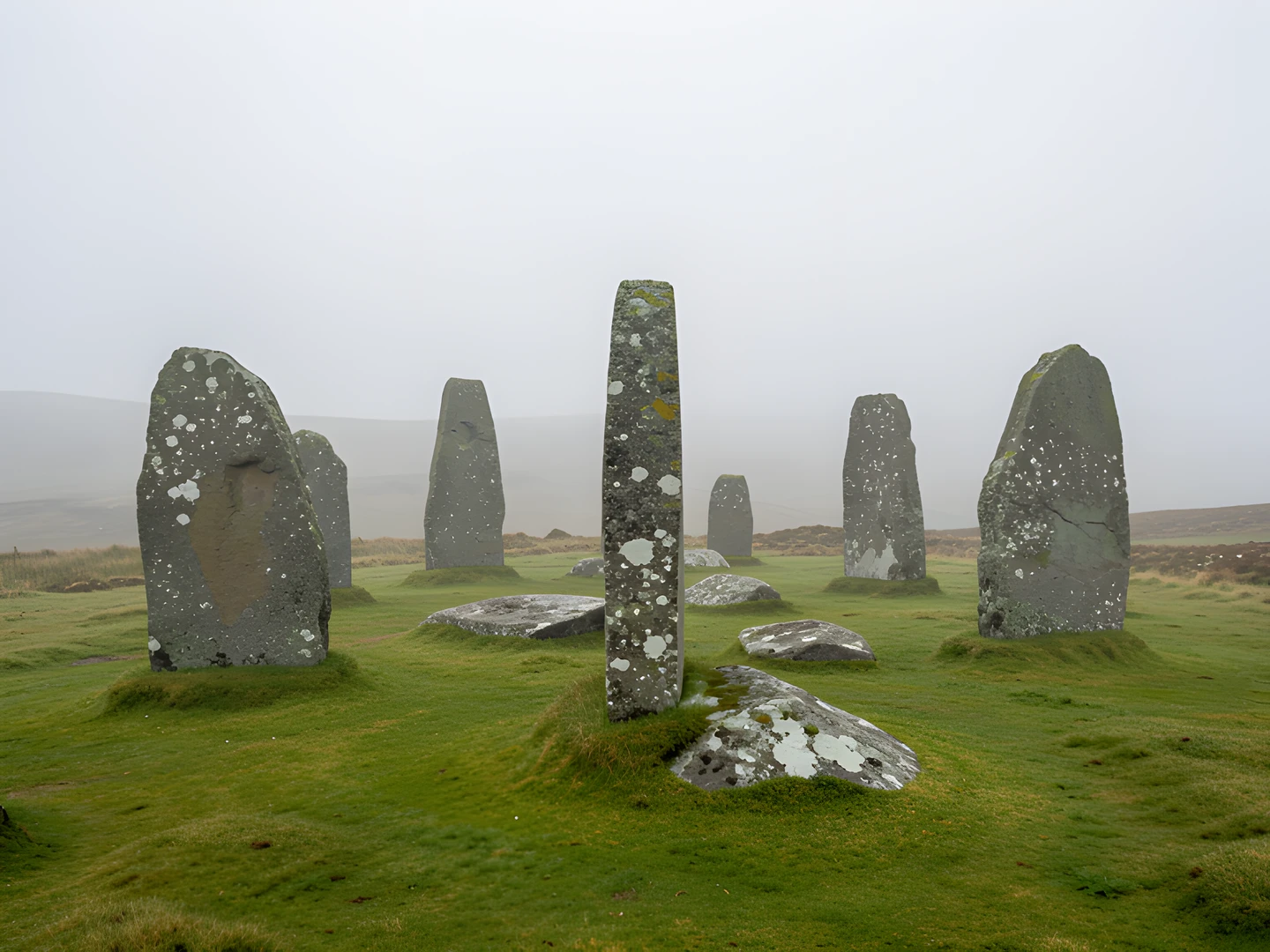 Stormy Coast Warbler